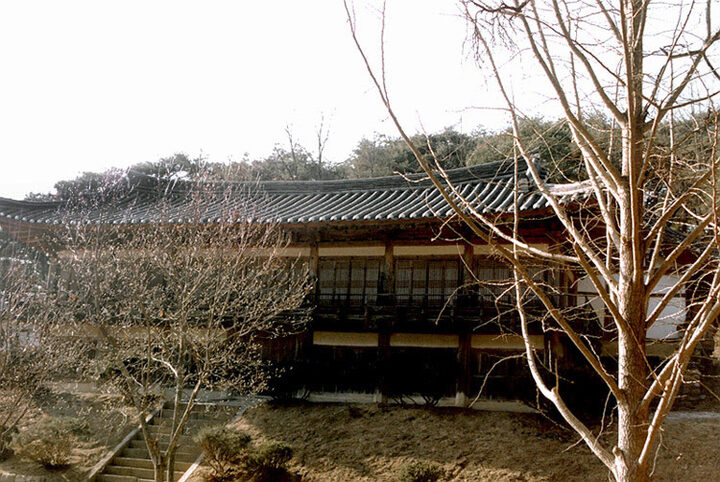 안동김씨태장재사