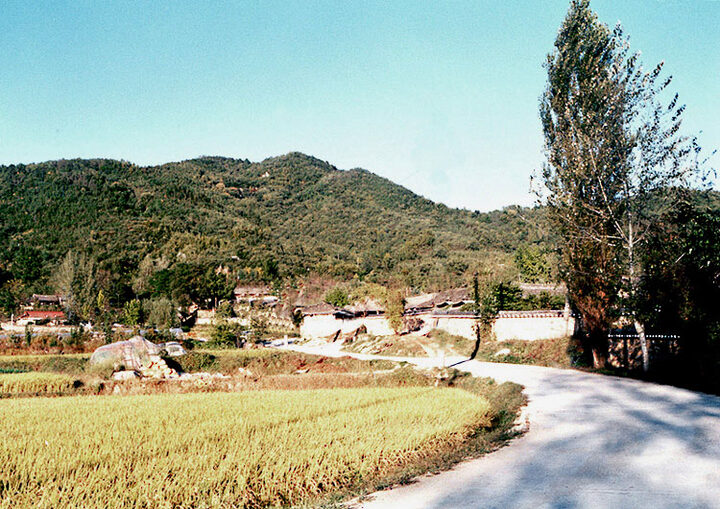 대산동교리댁