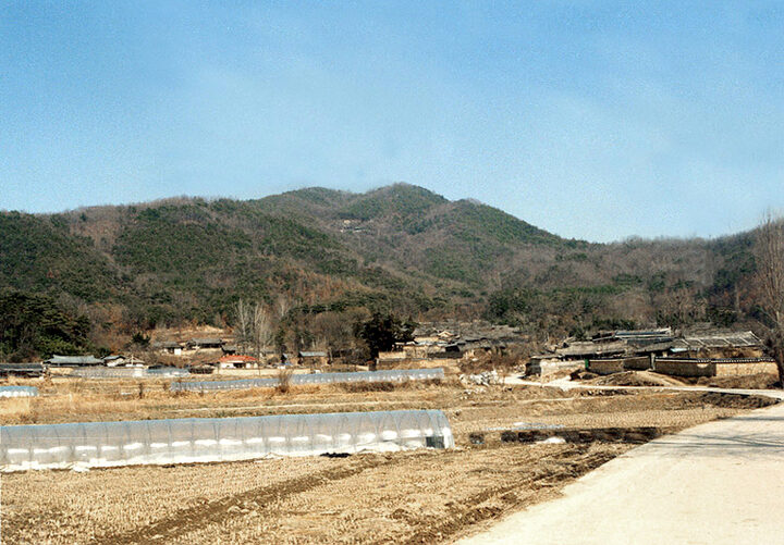 대산동한주종택