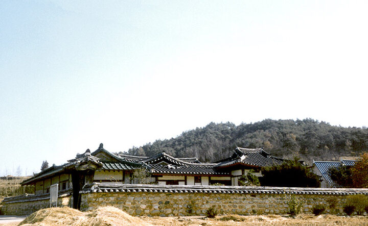 양동댁