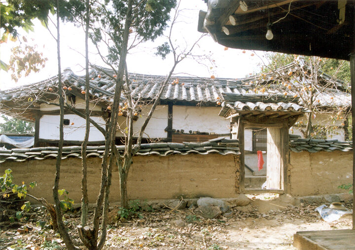 측면