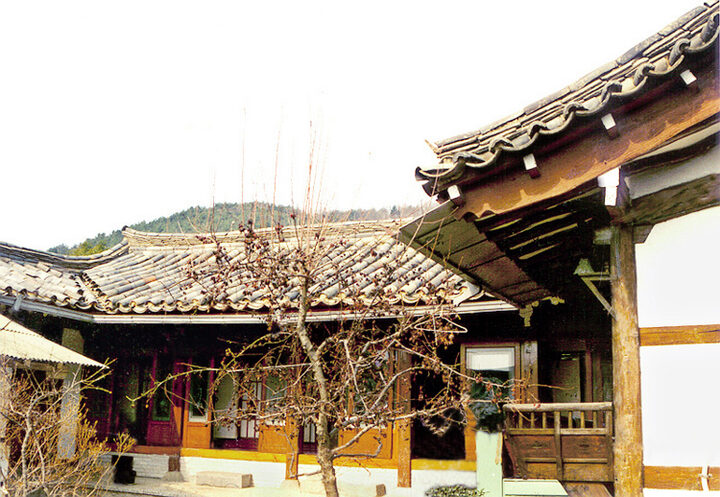 성주 대산리 하회댁