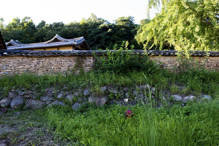 담장