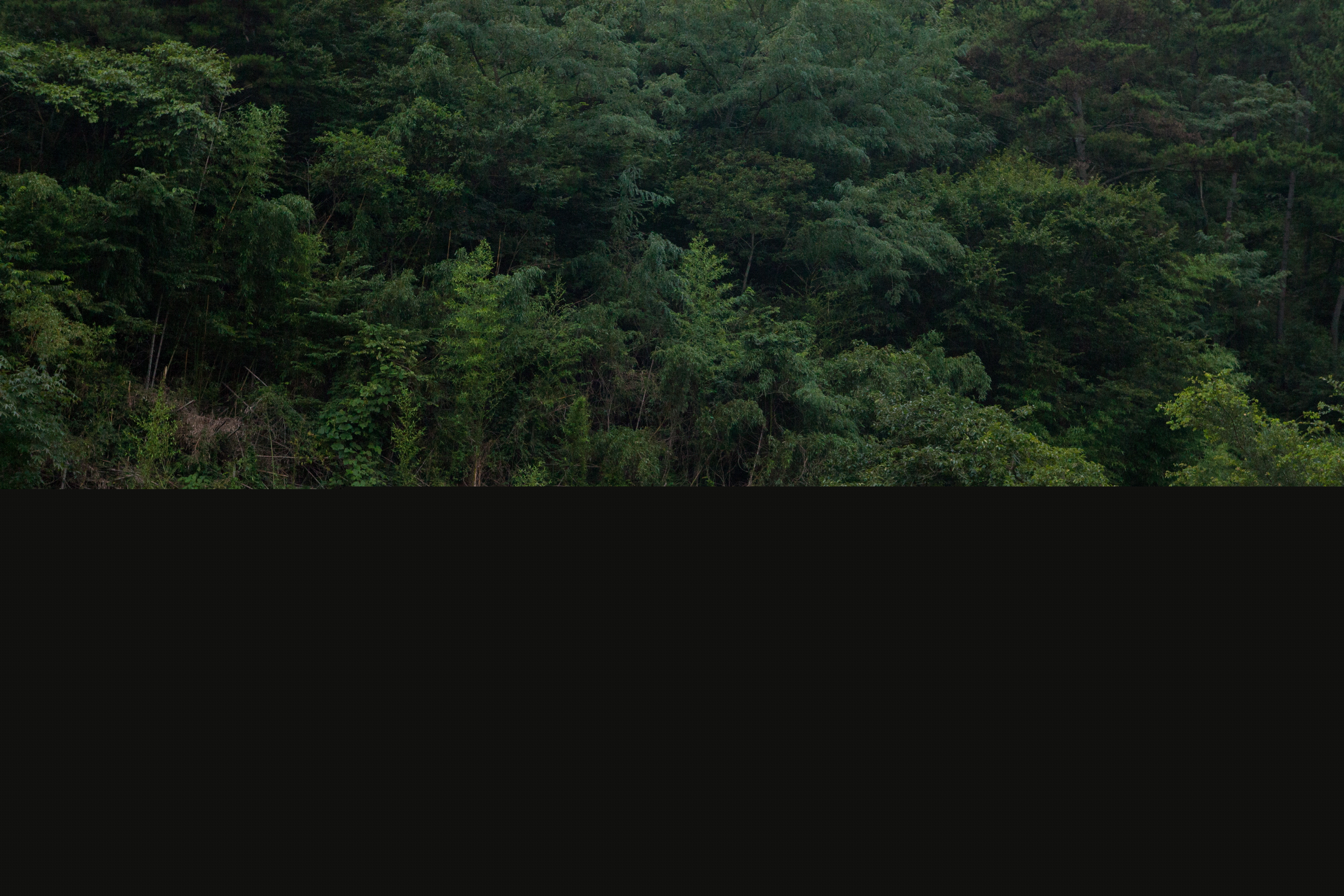 고성봉동리배씨고가_전경4 (촬영년도 : 2015년)