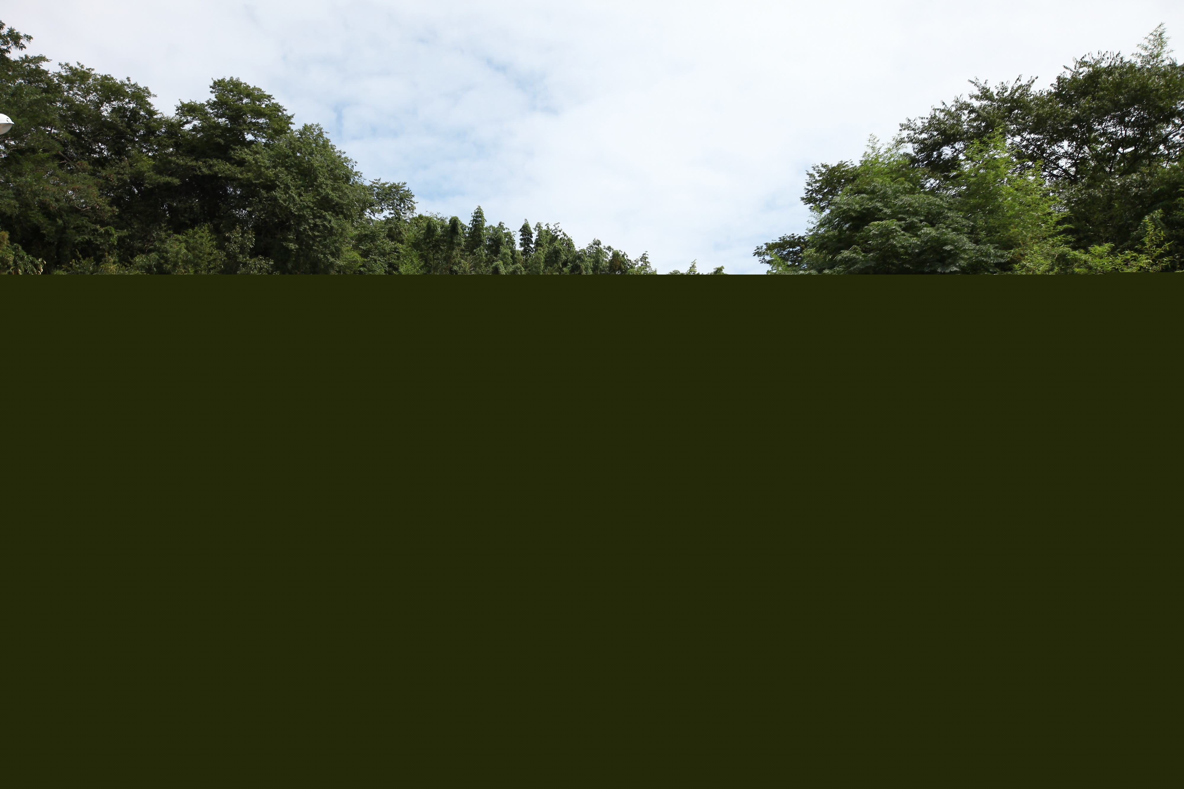 장흥 죽헌 고택_전경 (촬영년도 : 2015년)