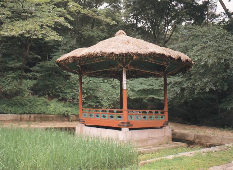 청의정