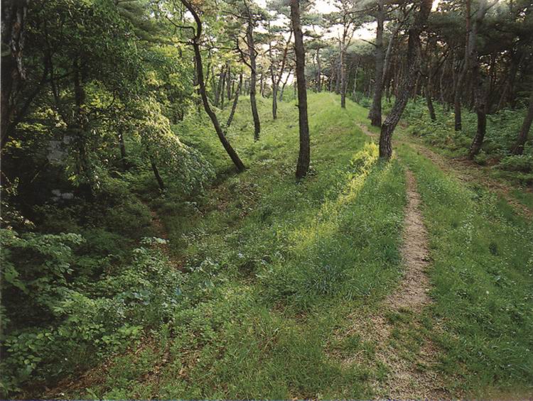 토성