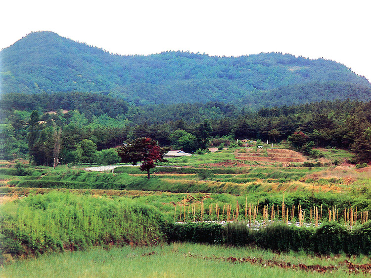 부여석성산성