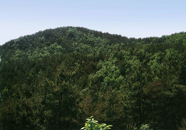 부여석성산성전경