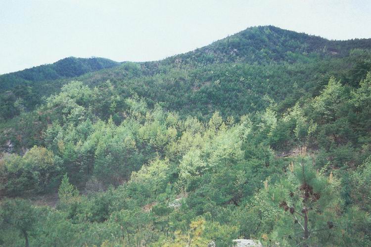 부여석성산성
