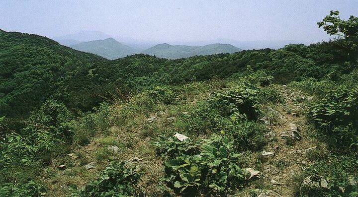 근경