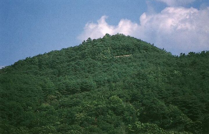 증산성전경
