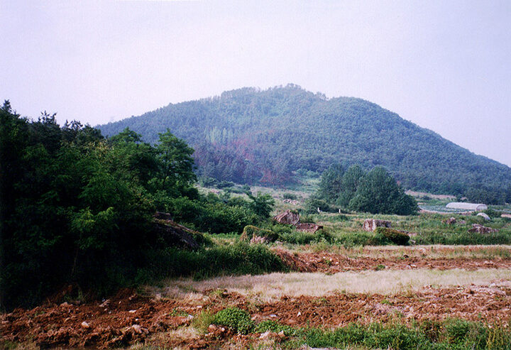 전경