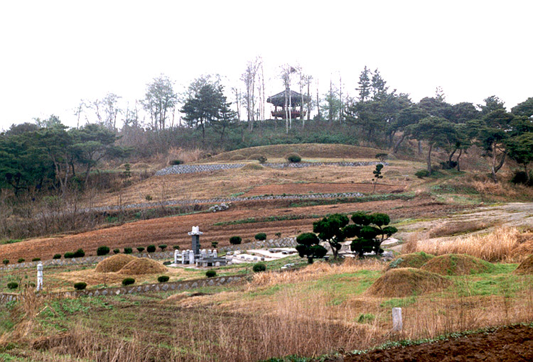 백산성근경
