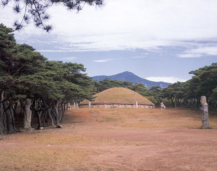 경주 흥덕왕릉 전경