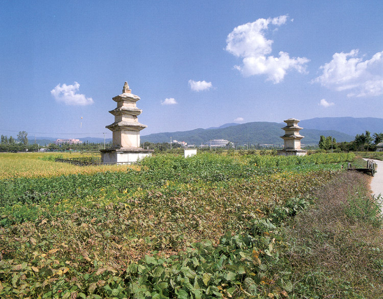 경주 천군동 사지 전경