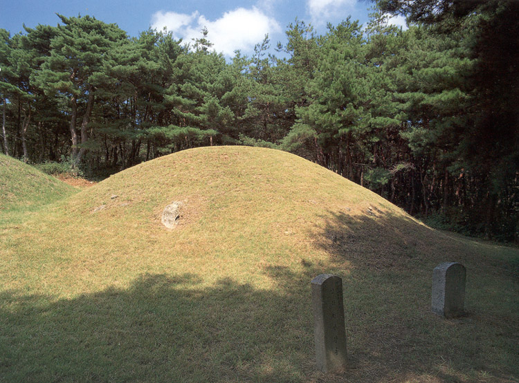 경주 헌안왕릉 근경