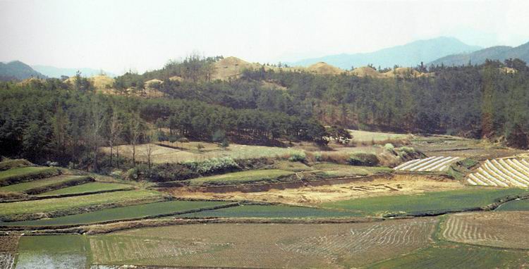 선산낙산리고분군