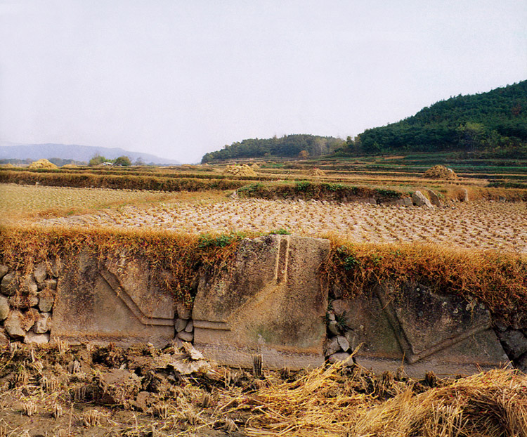 경주천관사지