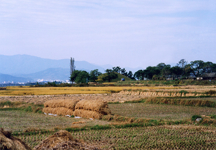 사지전경