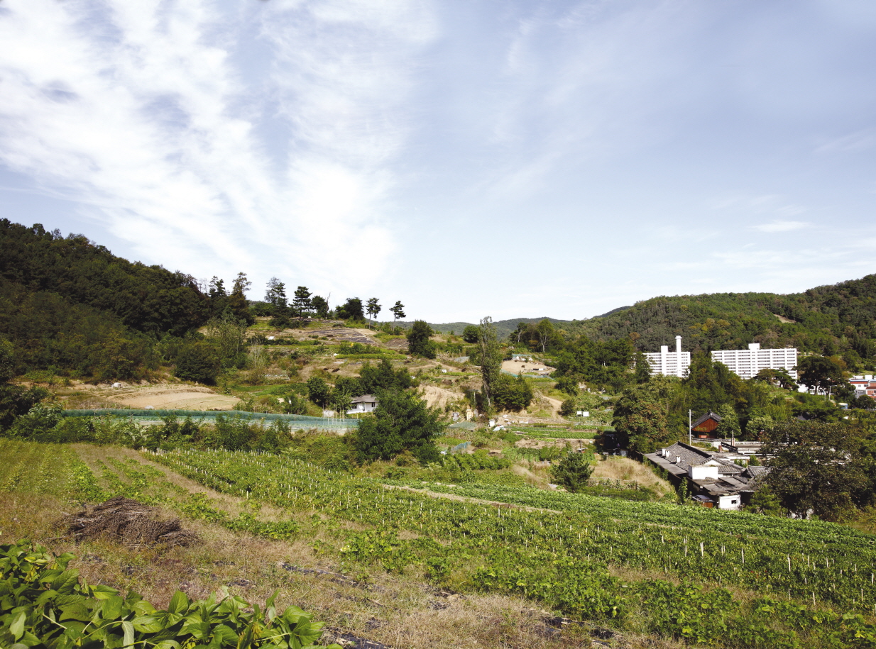 구미 황상동 고분군 전경