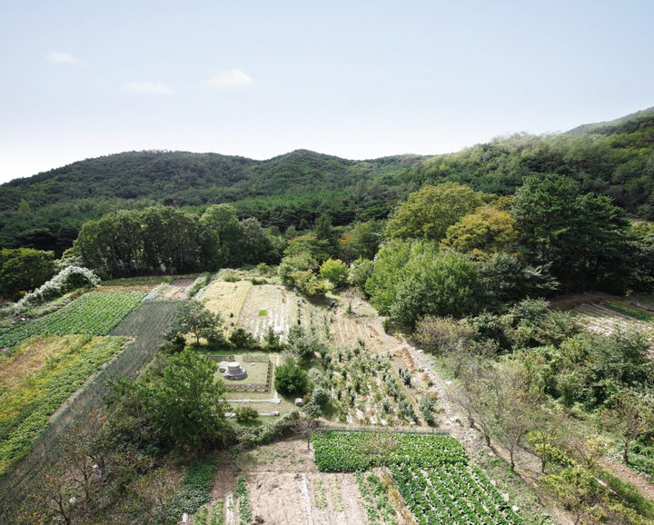 포항 법광사지-전경