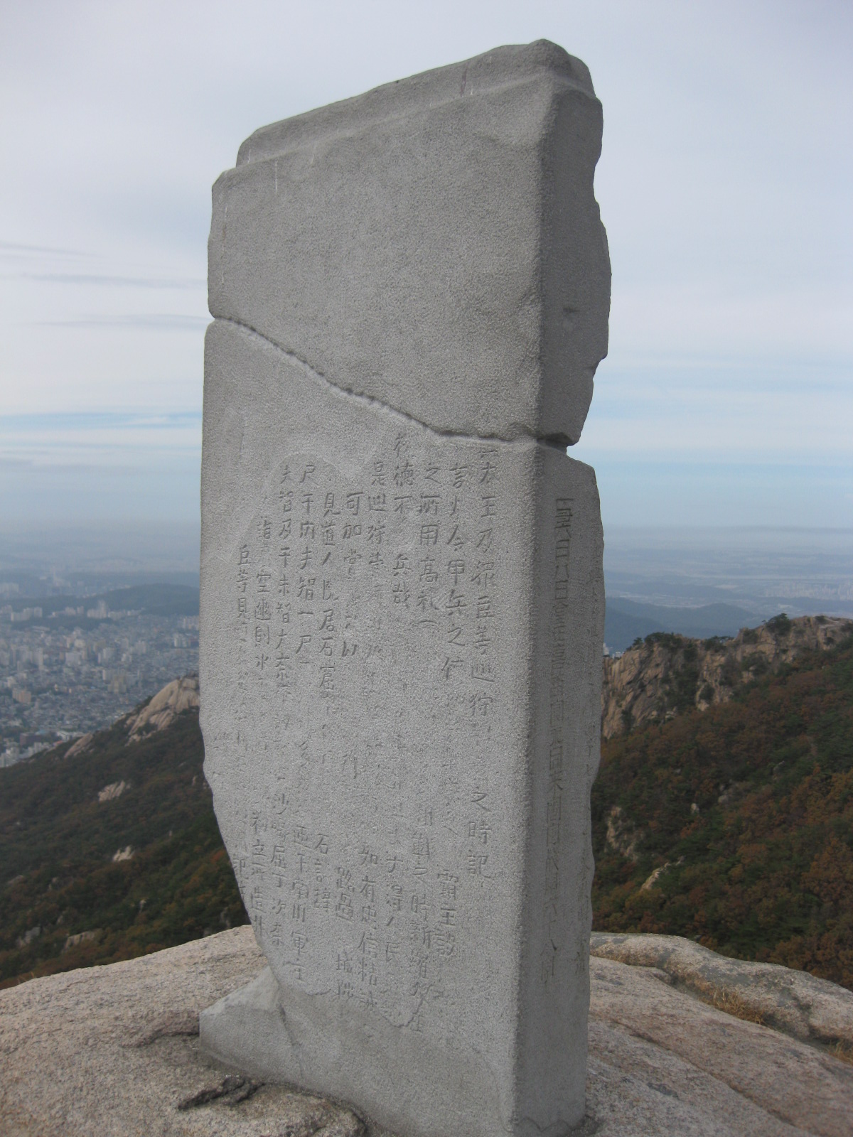 복제비 설치 근경