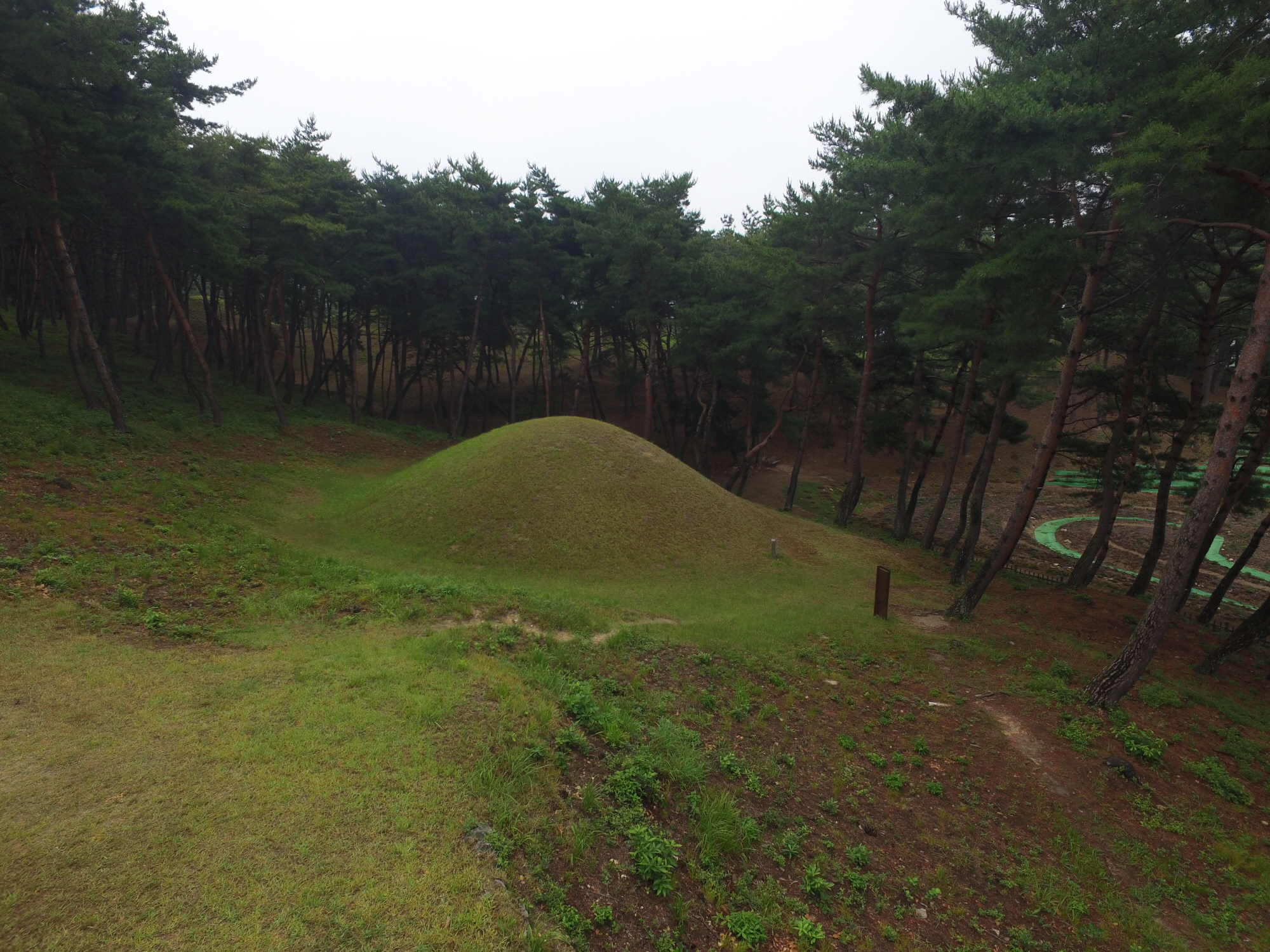 경주 문성왕릉 서쪽상공(동쪽으로 조망) (고도보존육성과, 2017)