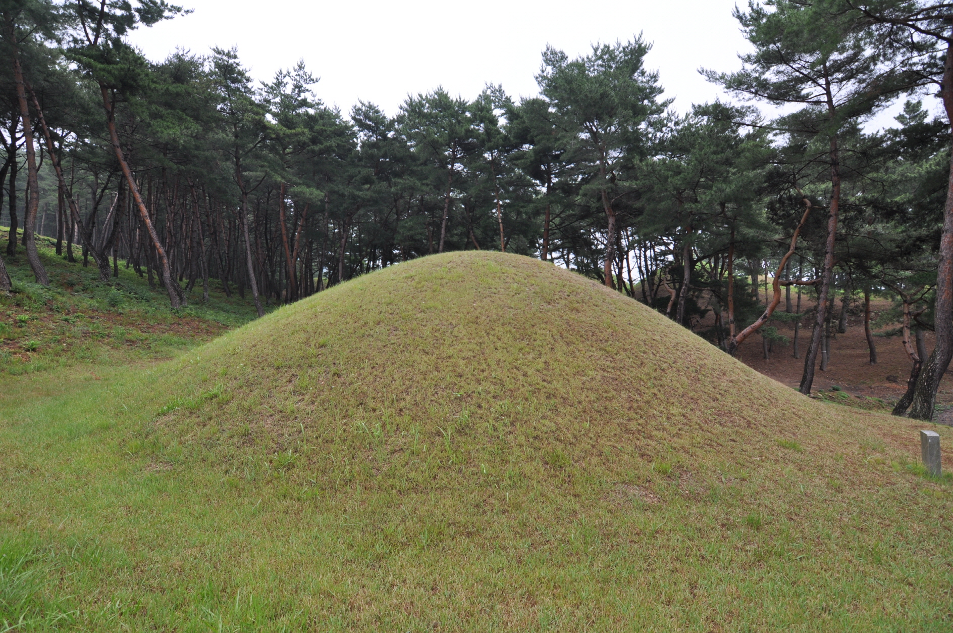 경주 문성왕릉 좌측면 (고도보존육성과, 2017)
