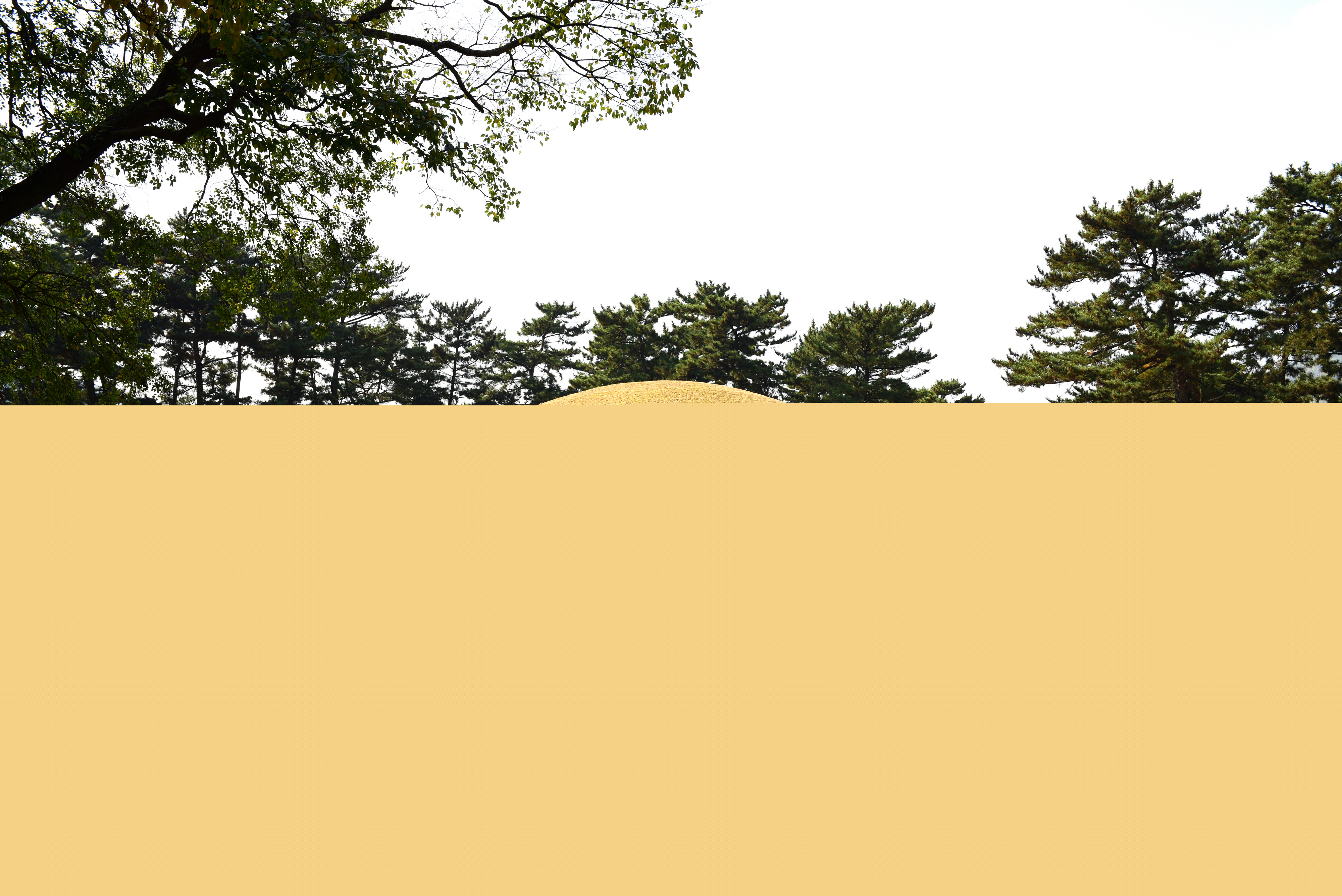 경주 무열왕릉_전경 (촬영년도 : 2015년)