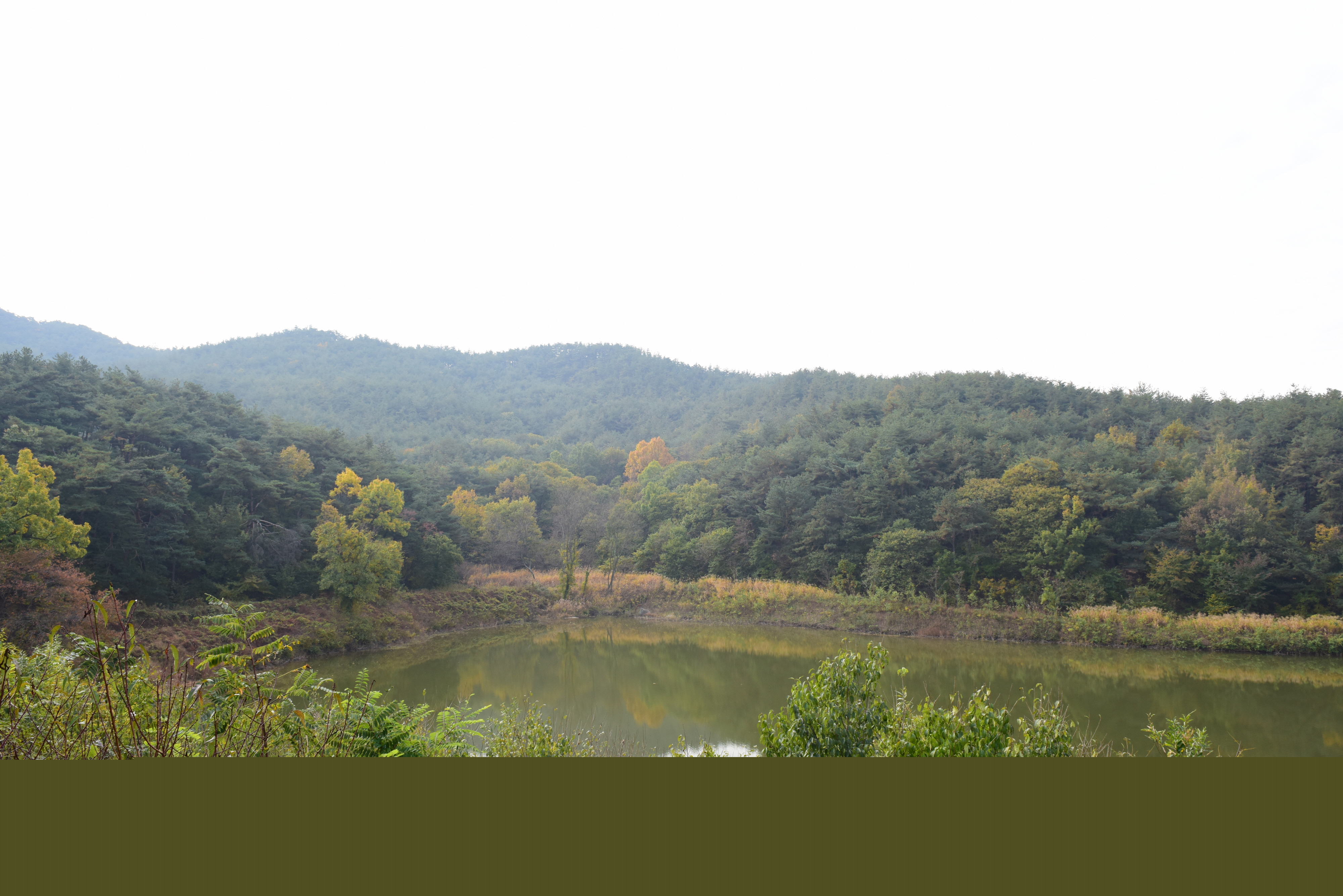 경주 남산신성_일원1 (촬영년도 : 2015년)