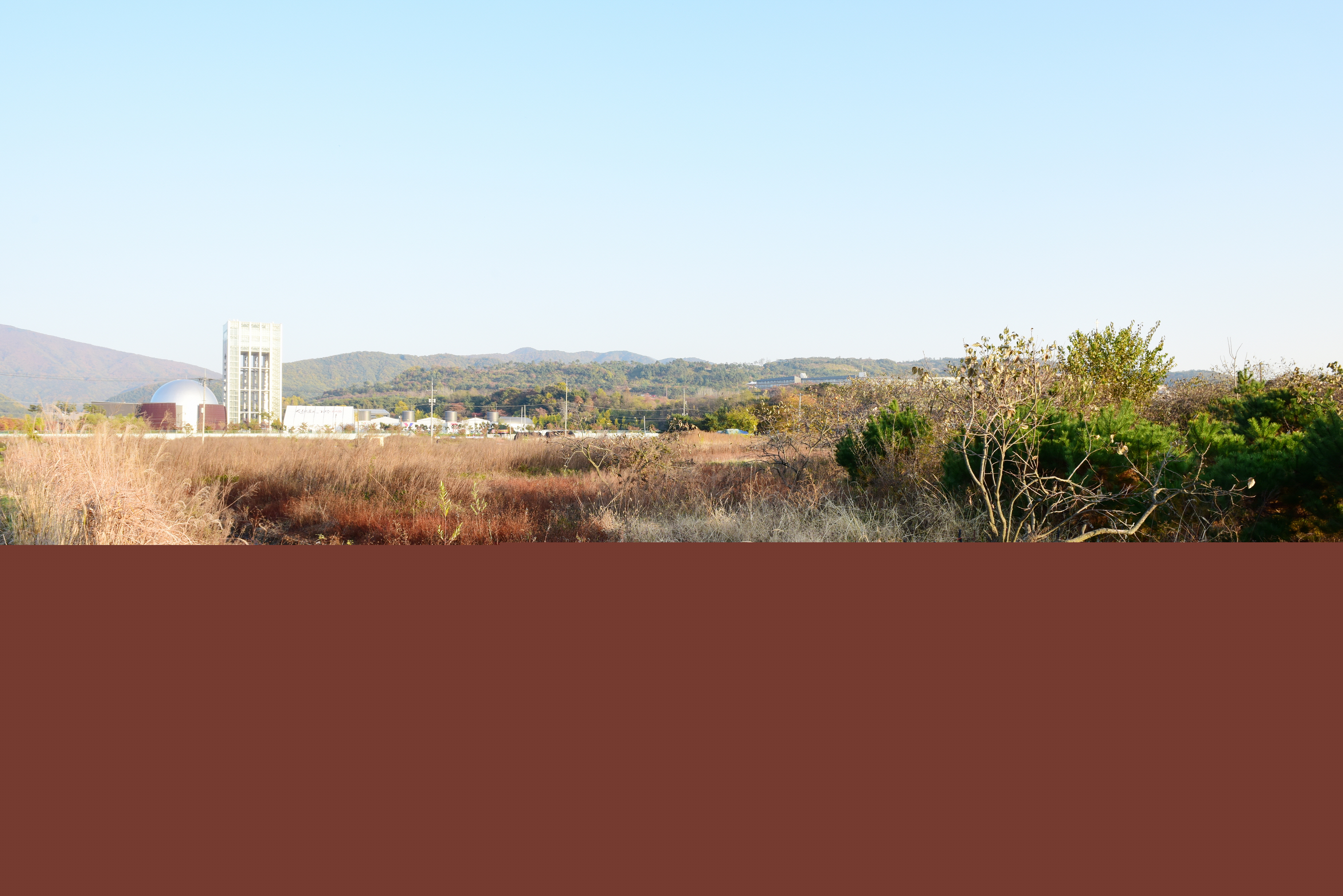 경주 천군동 사지_1 (촬영년도 : 2015년)