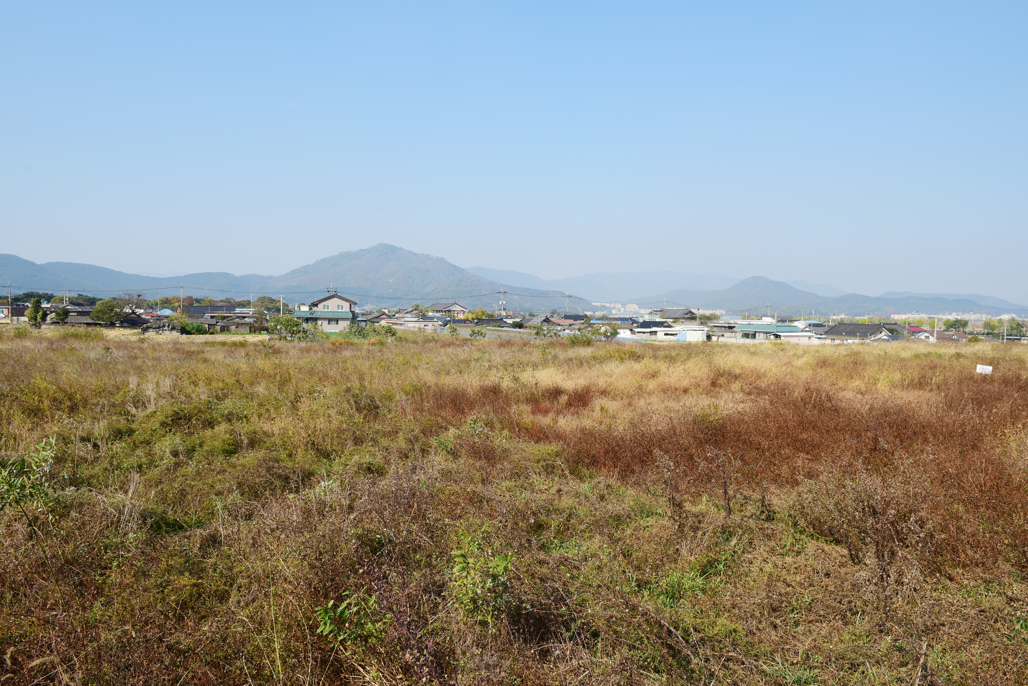 경주 천관사지_전경 (촬영년도 : 2015년)