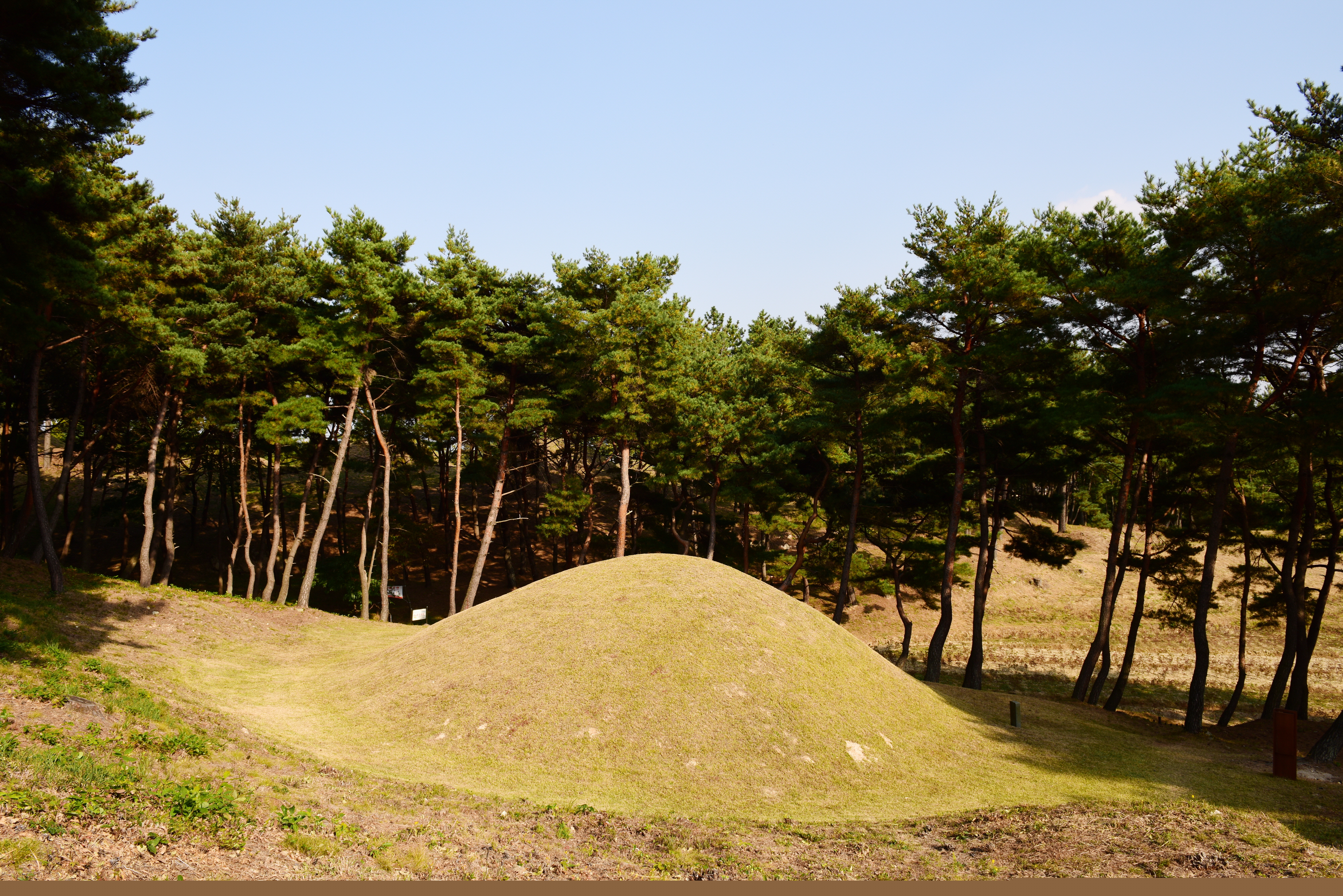 경주 문성왕릉_배면 (촬영년도 : 2015년)