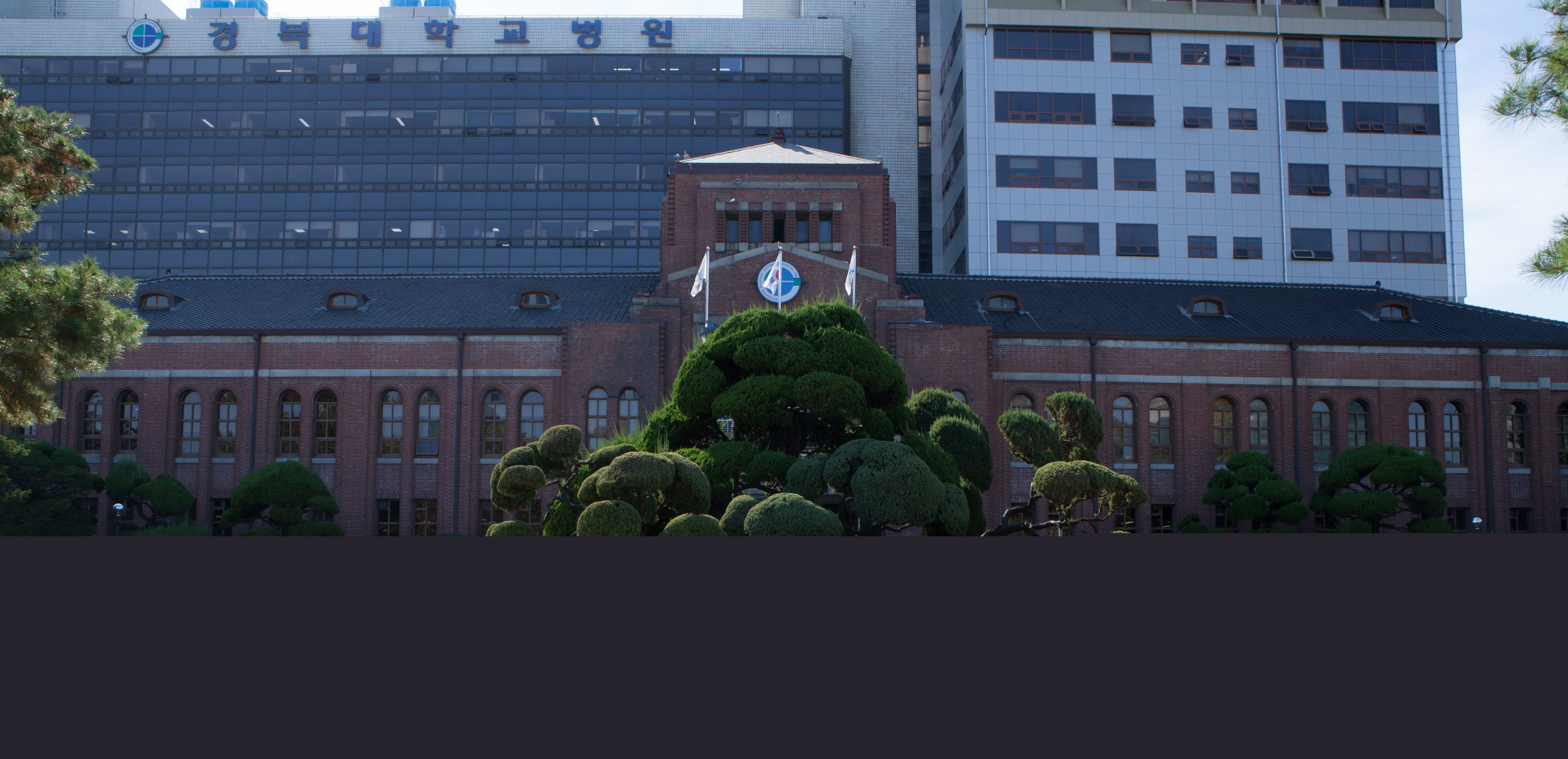 구 도립대구병원_입구에서 본 전경 (촬영년도 : 2015년)
