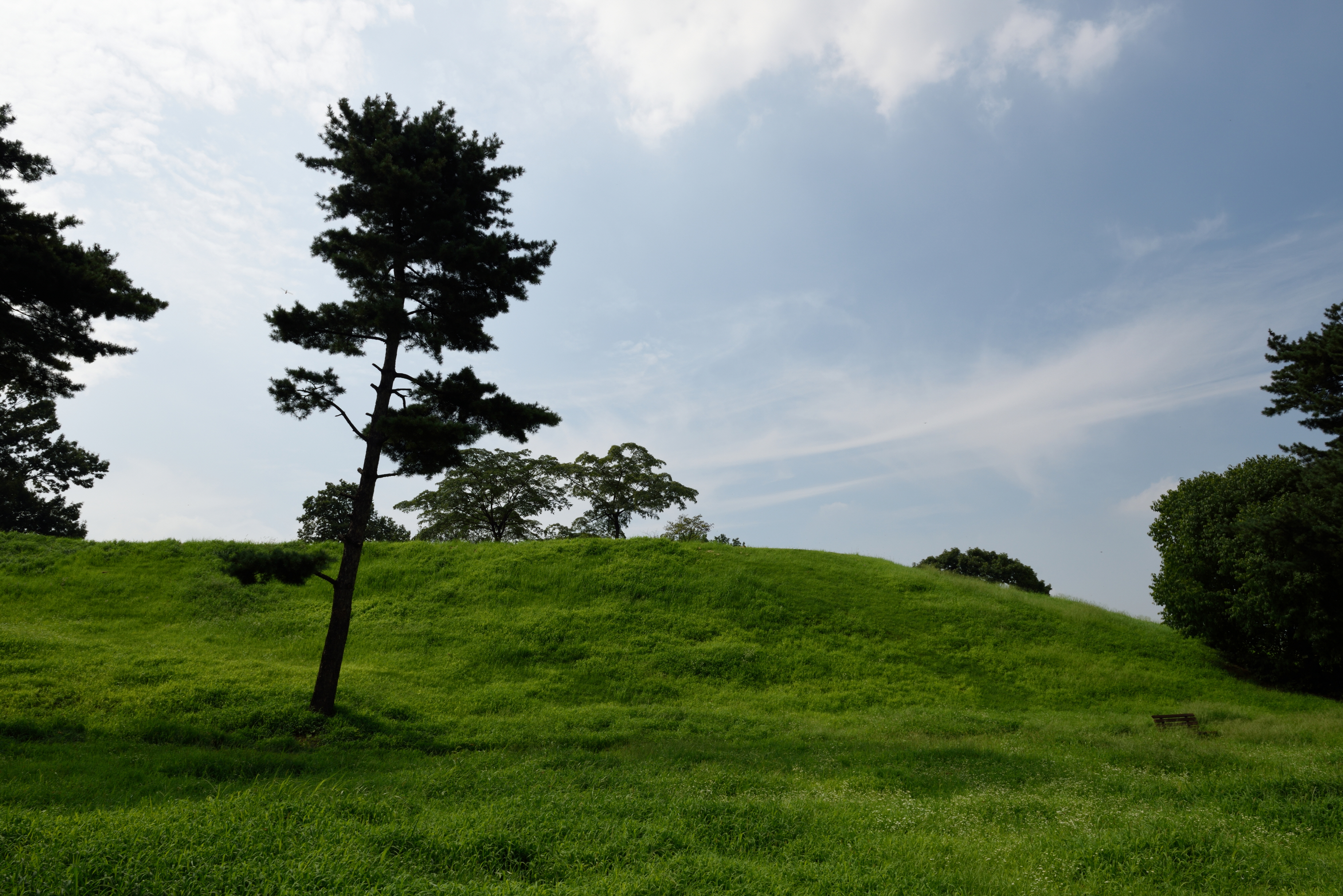 서울 몽촌토성_2 (촬영년도 : 2015년)