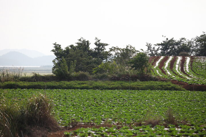 해남 진산리 청자 요지_3 (촬영년도 : 2015년)