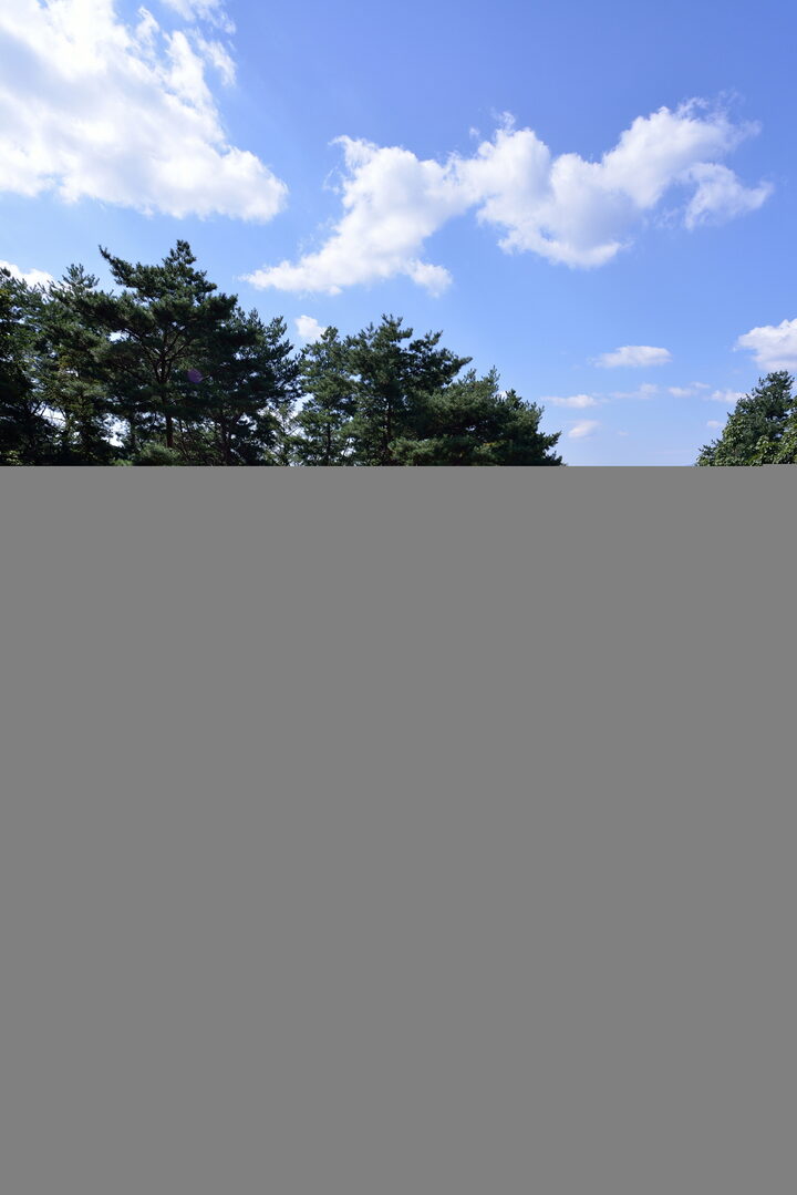 남양주 성묘_봉분 배면_미술_2014년(출처 : 국립문화재연구소)