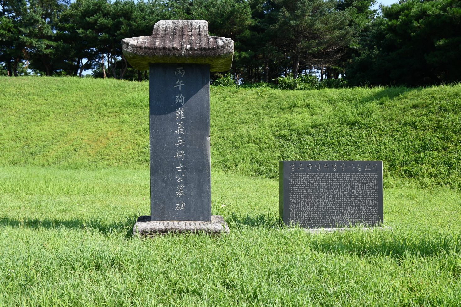 의사총 묘역 비석 (촬영년도 : 2024)