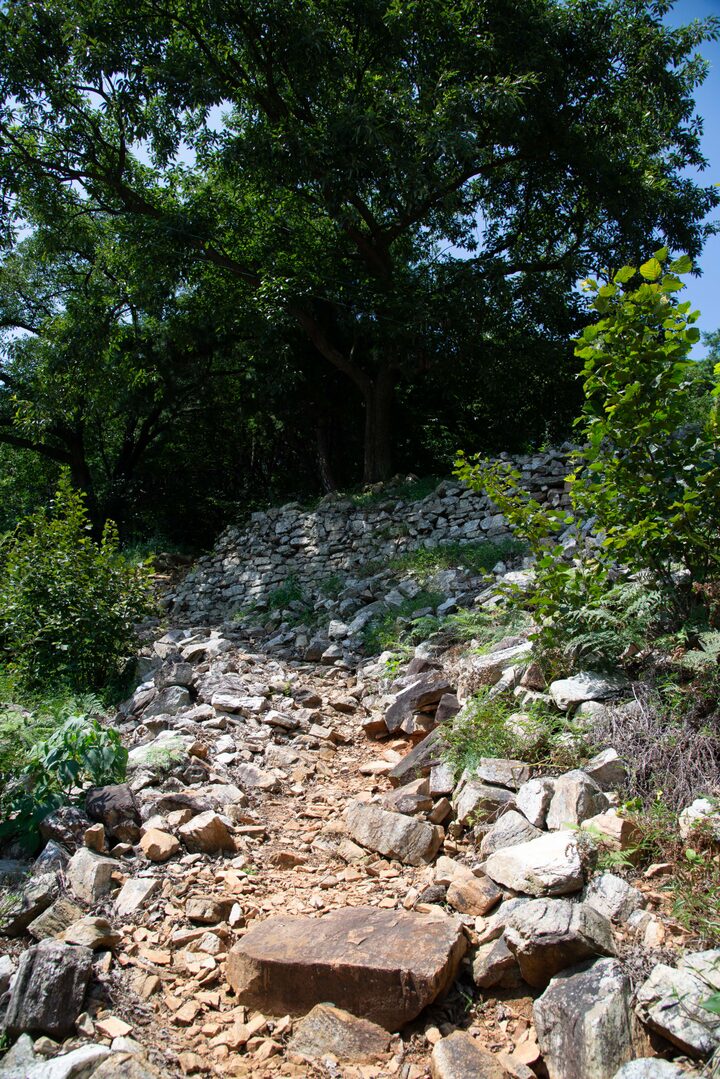 부여 증산성(사진)_성벽 (촬영년도_2024년)