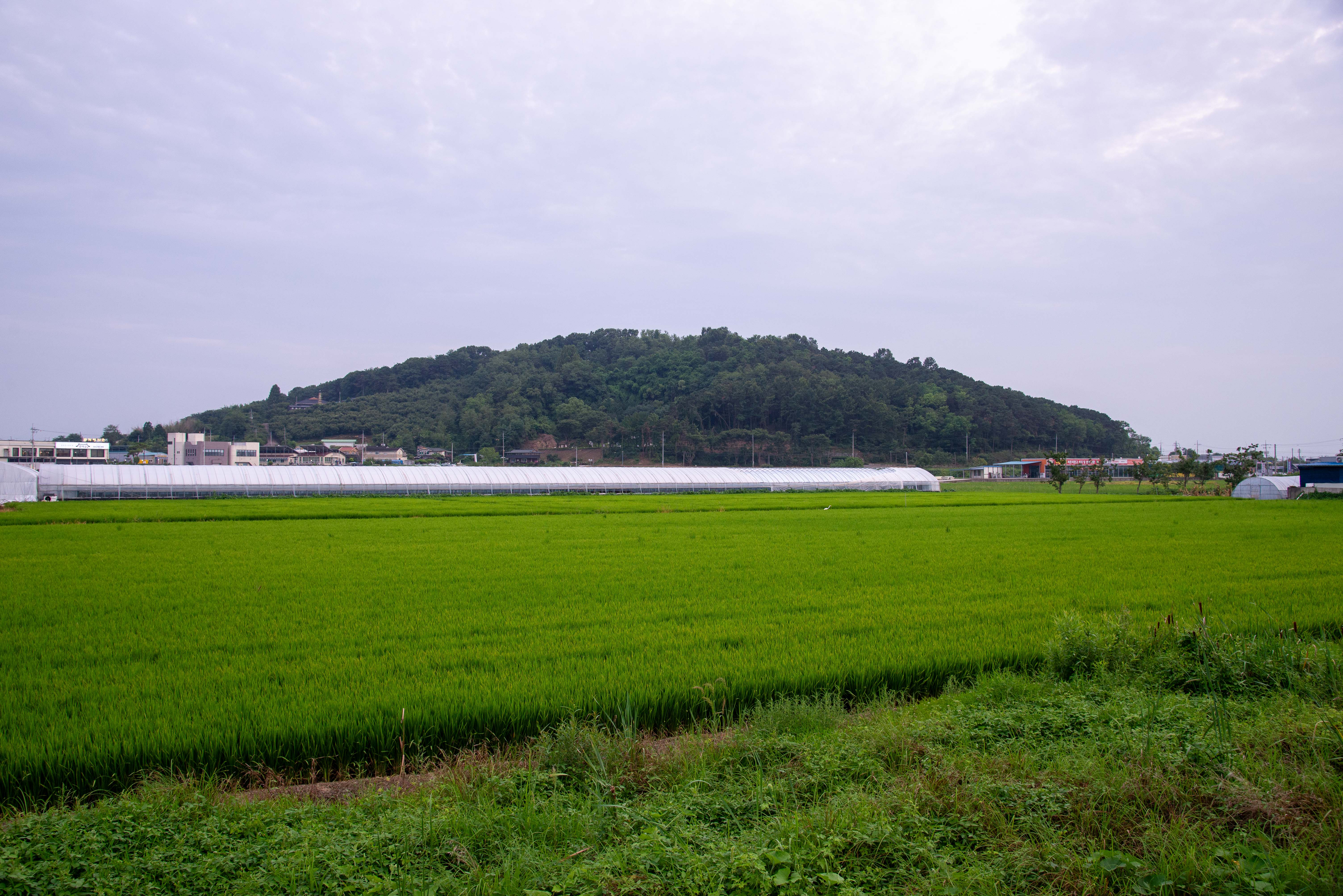 황화산봉수지(사진)_황화산 전경 (촬영년도_2024년)