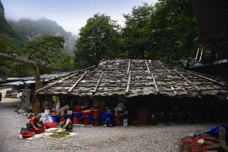 굴피집 전경