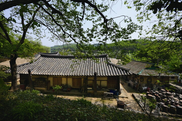 뒷동산에서 내려다본 가옥 전경