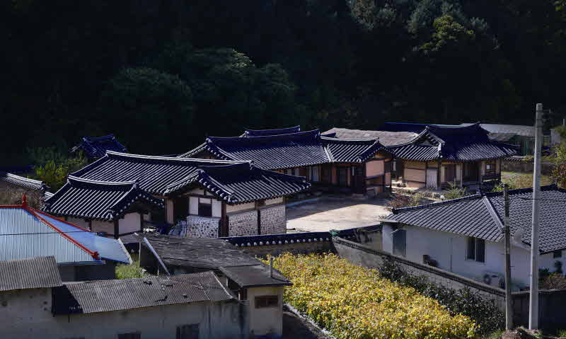 전경