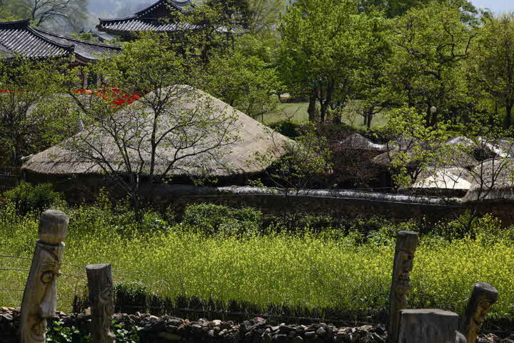 전경