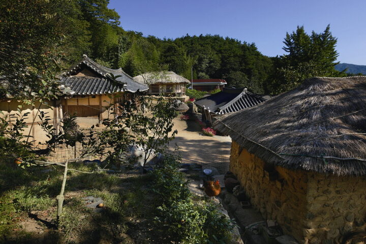 전경