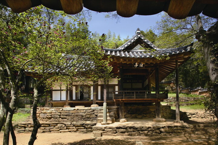 정자의 전면