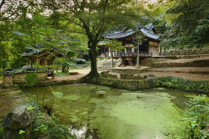 전경