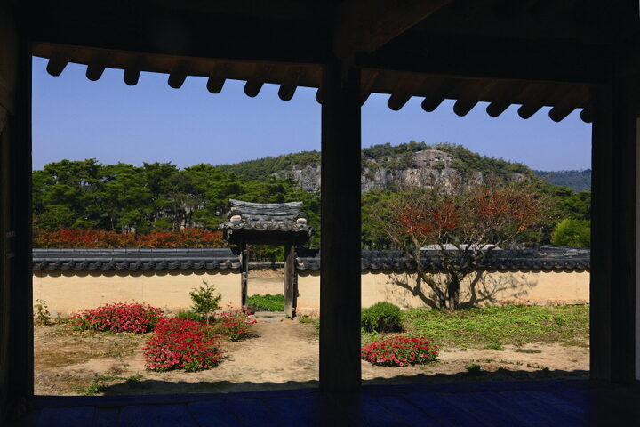 대청에서 내다본 풍경