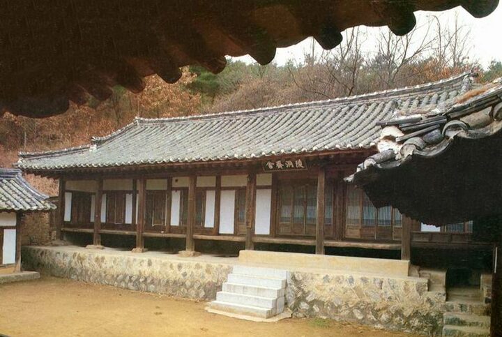 능동재사